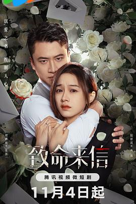 老同学中文视频海报剧照